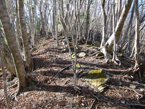 20200110hike (34)